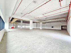 Tai Seng Industrial Estate (D19), Factory #558139601